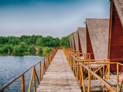 Hutan Mangrove Pik