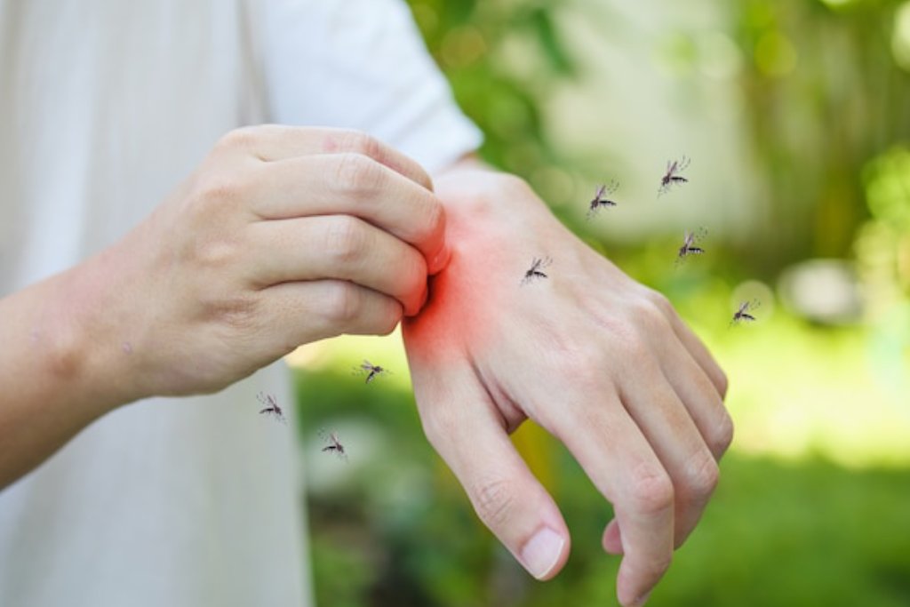 Obat Yang Tepat Untuk Penyakit Malaria Secara Ampuh