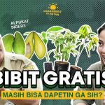 Idi Bantara Cara Sunyi Dalam Menyelamatkan Hutan Di Lampung