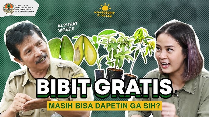 Idi Bantara Cara Sunyi Dalam Menyelamatkan Hutan Di Lampung