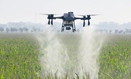 Drone DJI T25 Inovasi Canggih Untuk Pertanian Modern