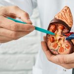 Kanker Ginjal, Mengapa Kemoterapi Hampir Tidak Berperan?