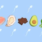 Makanan Yang Baik Untuk Kualitas Sperma