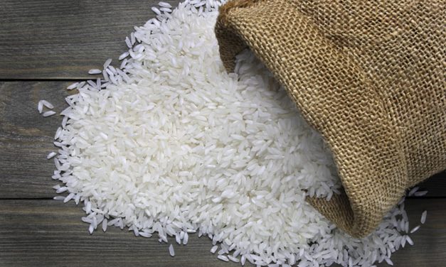 Dunia Terancam Kekurangan Beras akibat Perang Timur Tengah dan El Nino