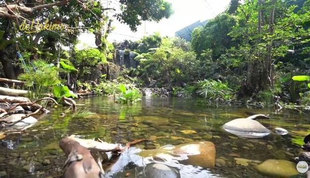 Dehakim Aviary Salah Satu Bentuk Upaya Konservasi Lingkungan