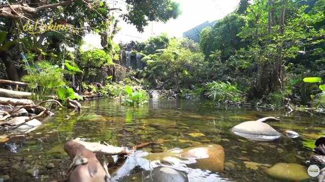 Dehakim Aviary Salah Satu Bentuk Upaya Konservasi Lingkungan