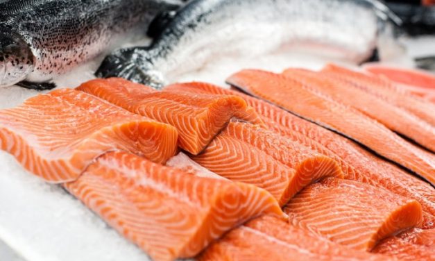 Ikan Salmon Menjadi Hidangan Terlezat Di Seluruh Dunia