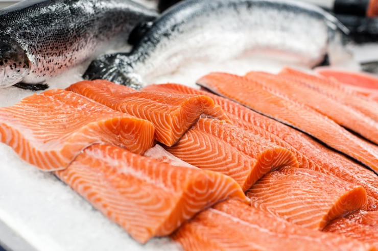 Ikan Salmon Menjadi Hidangan Terlezat Di Seluruh Dunia
