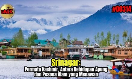 Srinagar, Kota Terapung Muslim Yang Menarik