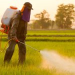 Bahaya Pestisida, Hampir 50% Petani Dunia Keracunan Tiap Tahun