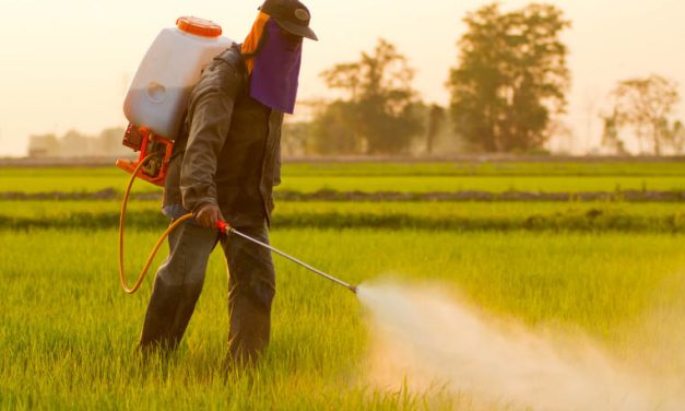 Bahaya Pestisida, Hampir 50% Petani Dunia Keracunan Tiap Tahun