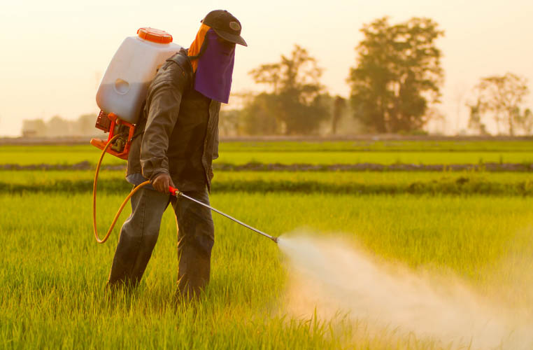 Bahaya Pestisida, Hampir 50% Petani Dunia Keracunan Tiap Tahun